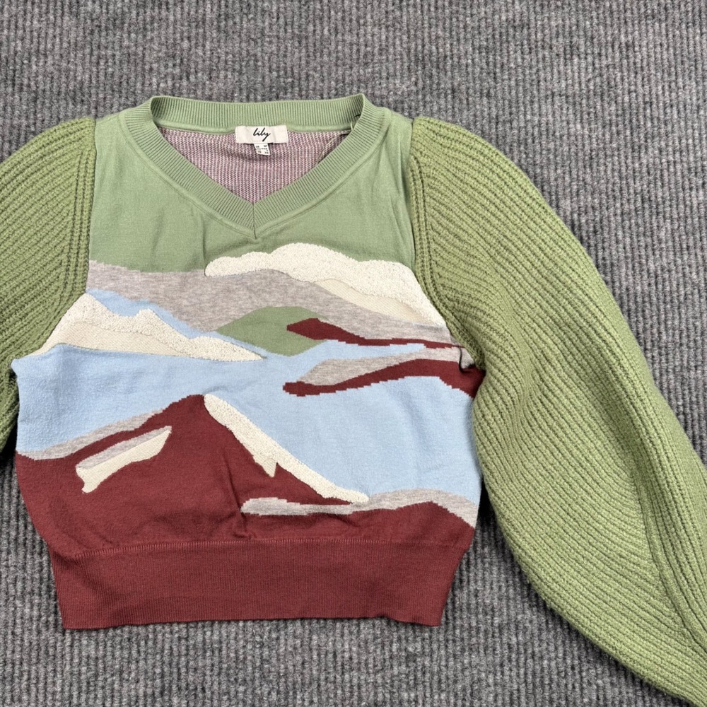 Lily Landscape Scenic Knit Cropped Sweater Colorblock Artsy Boho V Neck XS‎ 936 - Picture 3 of 11